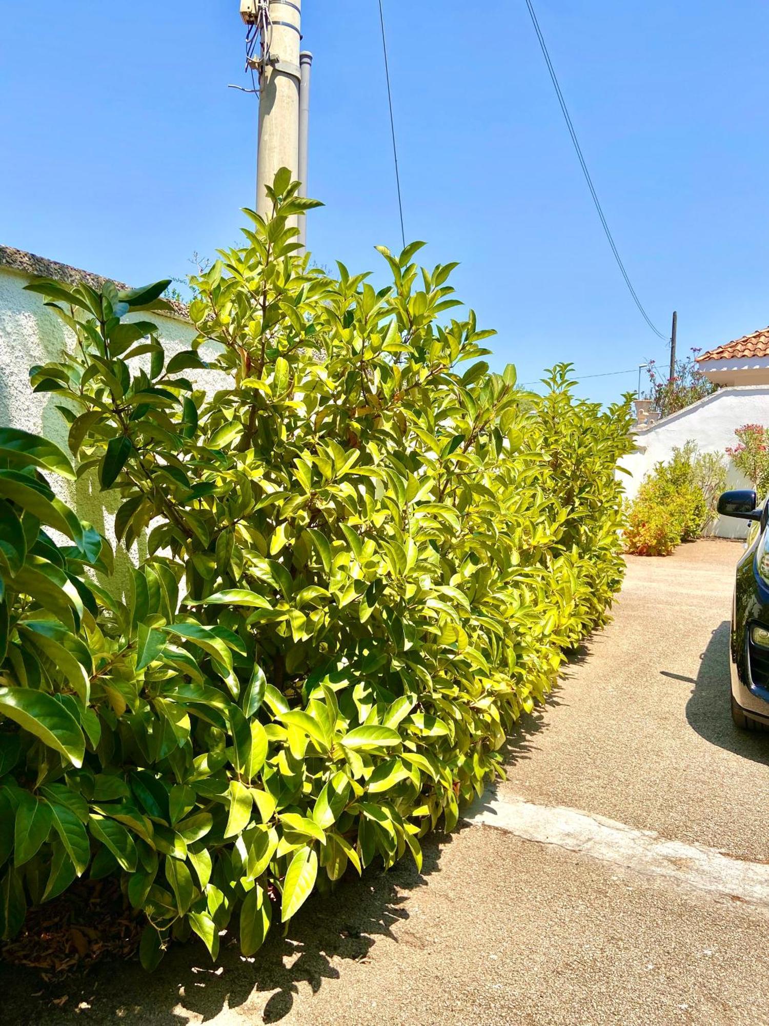 B&B Costa Azzurra Porto Cesareo Dış mekan fotoğraf
